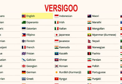 104 Version of LANGUAGE WORLD – Vi-VersiGoo original version & En-VersiGoo onset version