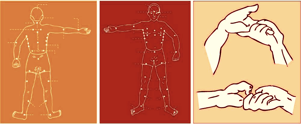 La ubicación de los puntos de acupuntura en la parte posterior del cuerpo la ubicación de la acupuntura: 8 puntos en la parte frontal del cuerpo