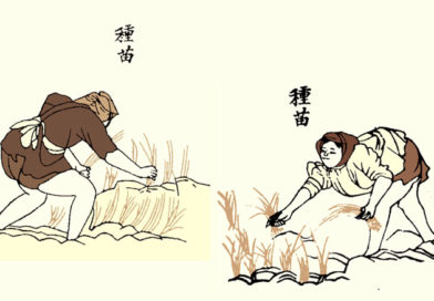 Various WET RICE FARMER’s Holidays and Festivals – Section 1 Various WET RICE FARMER’s Holidays and Festivals – Section 1
