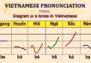VIETNAMSKI JEZIK za Vietnamce in tujce - vietnamski toni - Oddelek 4