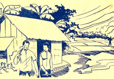 The BETEL and The ARECA TREE
