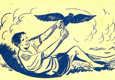The RAVEN’s Gem