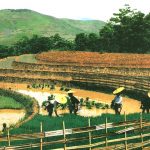 The HA NHI Community of 54 Ethnic groups in Vietnam