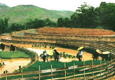 The HA NHI Community of 54 Ethnic groups in Vietnam