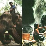 The MNONG Community of 54 Ethnic groups in Vietnam
