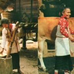 The MANG Community of 54 Ethnic groups in Vietnam