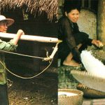 The SAN DIU Community of 54 Ethnic groups in Vietnam
